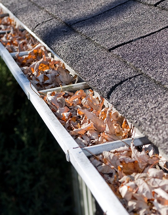 Leaves in rain gutter. gutters filled with leaves