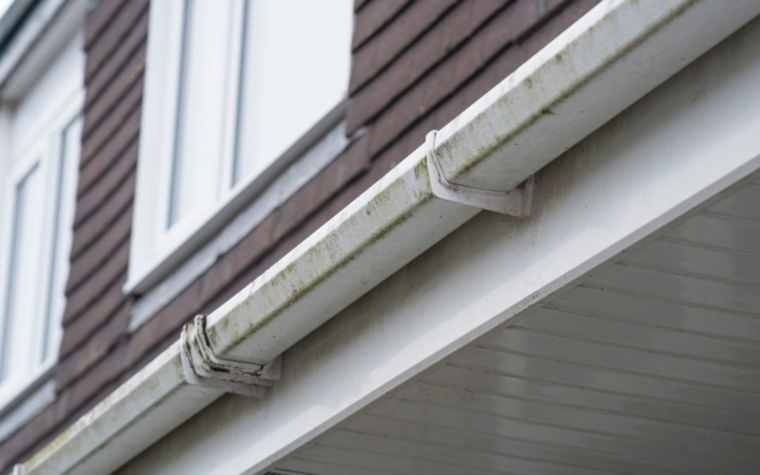 What To Do If You Have a Gutter Leaking Behind Siding