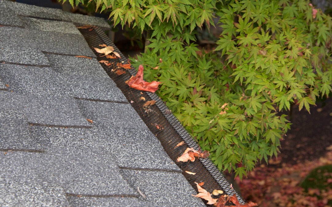 Keeping Your Gutters Clean: Do Gutter Guards Work?